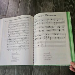 Sing : Young Life Choruses Music : Piano Score & Words, Guitar Chords 1992 Book