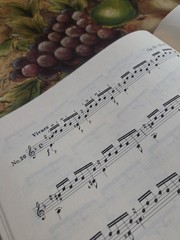 Mauro Giuliani 25 Etudes For Classical GuitarRare Book,Zen-On Series Jap Edition