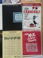 Lot Of 19 Vintage & Modern Broadway Play Vocal Selections Sheet Music Books