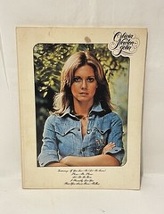 OLIVIA NEWTON-JOHN Music SONG Book 80 PAGES PHOTOS Piano Vocal Chords VTG~NICE!