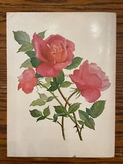 With My Love All Organ Song Book Words Chords Music Robbins Music Corporation