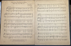 1924 Foxtrot Sheet Music Alley Cat Orange Moon What Does the Pussycat Mean