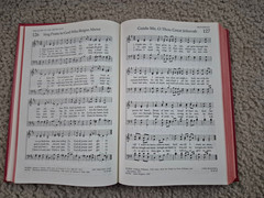 THE UNITED METHODIST HYMNAL Book of United Methodist Worship Red Hardcover 1989