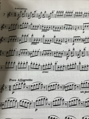 117 Melodious Progressive Studies Flute World&rsquo;s Favorite Ashley Series 128 Pages