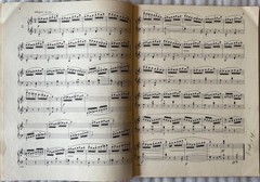 Vintage Schirmer’s Library Vol. 146 Czerny & Vol. 316 Duvernoy – 1893 & 95