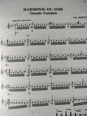 Johann Kasper Mertz Unpublished Classical Guitar Solos Sheet Music