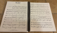 Lot of 11 Hal Leonard Music Bks~ Rodgers & Hart Musical Anthology+Disney+Frozen+