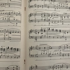 Ralph Federer&rsquo;s Piano Solo Album Vtg 1946 Sheet Music Book 12 Songs