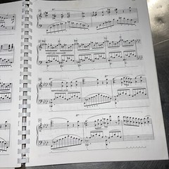 Anthology of Romantic Piano Music: Intermediate to Early Advanced Works by 36…