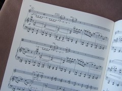 Vintage Ivan Erod Violakonzert Viola Concerto + Piano Doblinger Austria