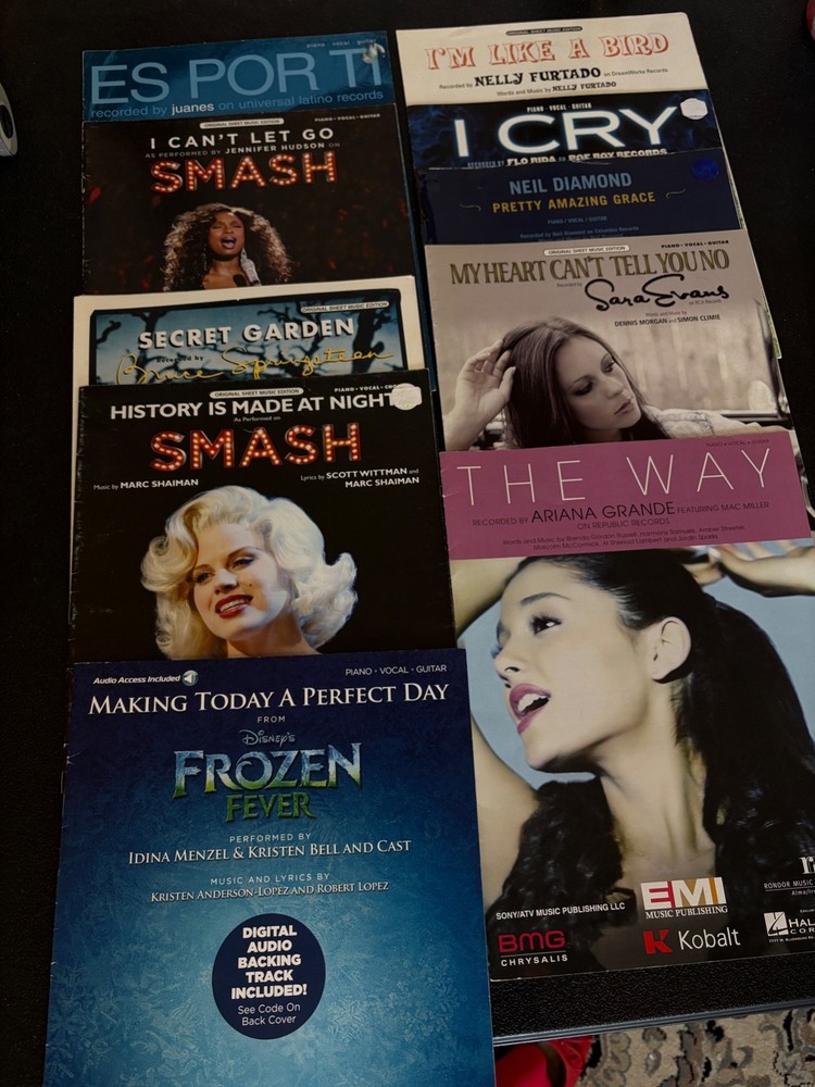 Popular Sheet Music. Piano, Vocal, Guitar. Lot of 10 pop sheet solos. NEW!