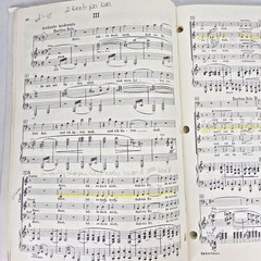 Brahms A German Requiem Op 45 Vocal Score German Text Ein Deutsches Requiem Vtg