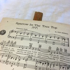 Sparrow in The Tree Top Bob Merrill Sheet Music 1951 Vintage
