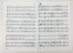 Psalms of Praise SATB Piano Sheet Music Hugh S Livingston Jr Lorenz Publishing