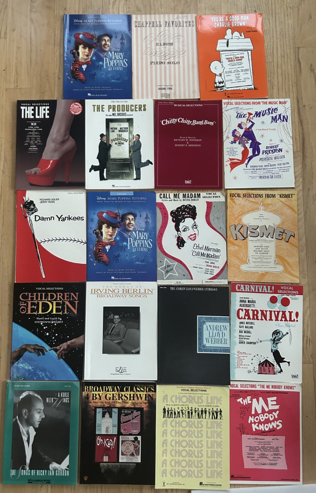 Lot Of 19 Vintage & Modern Broadway Play Vocal Selections Sheet Music Books