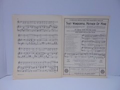 My Wild Irish Rose Duet Sheet Music Chauney Olcott 1922 M. Witmark & Sons