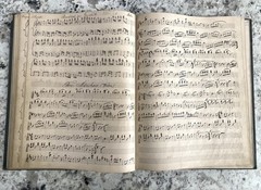 Handwritten Bound Sheet Music 1880s German Milwaukee Zither Violin Guitar Vocal