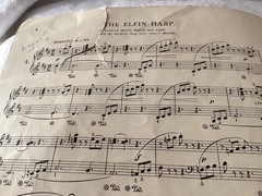 Walter Carroll Forest Fantasies Sheet Music Book, Forsyth Brothers 1916 DAMAGED