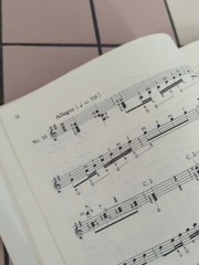 Antonio Cano 35 Etudes Rare Classical Guitar Rare Book,Zen On Publication Jap