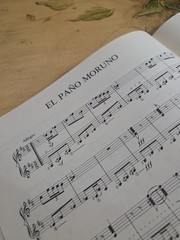 Album Of Spanish And South American Folk Songs For 2 Classical Guitar Rare Book