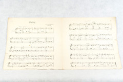 1901 A. Jul. Beidermann Daisy Antique Piano Sheet Music, Oliver Ditson Company