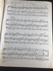 Max Steiner, arr Russ Taylor: Theme from a Summer Place, Organ (Witmark)