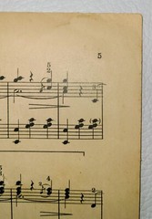 1924 Blue Danube Strauss Piano Sheet Music National Music Love Antique