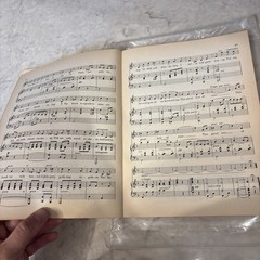 Ballads The Whole World Sings Songbook 1917 Vintage D. Appleton & Co