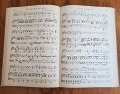 Hollis Dann Junior Songs 1918; C.C. Birchard & Co., Junior Laurel Songs 1915