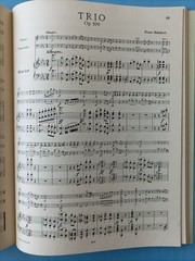 Schubert Piano Trios Op. 99 & Op. 100 Parts for Piano, Violin and Cello
