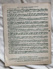 ANTIQUE VINTAGE Sheet Music Book Lot