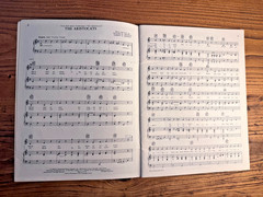 Aristocats & Other Cat Songs Sheet Music Book Piano Vocal Accompaniment Disney