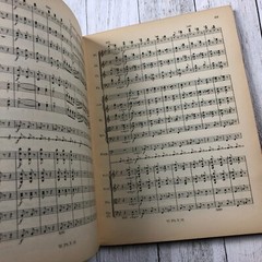 1920s Philharmonia Symphonie I Haydn Schumann Book Antique LOT No.31 115 AS IS