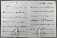Hal Leonard Trumpet Play Along Vol 2 Classics Book With Audio Access Sheet Music