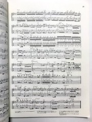ROCK GUITAR LEGEND GUITAR SCORE JAPAN TAB Jimi Clapton Blackmore Yngwie