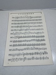Schubert Quintet In “A” Major D. 667 Opus 114 “Trout Quintet” Piano,Violin Etc
