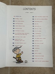The Peanuts Illustrated Songbook Sheet Music Piano Solo Songbook 2001