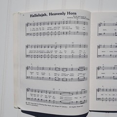 SING A GOSPEL SONG Songbook Vol 5 Daywind 1988 Southern Gospel Music 30 Songs