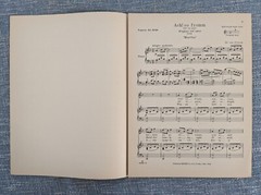M&rsquo;Appari Tutt&rsquo;Amor – Ah So Pure From Martha High Voice in F. 915 opera music