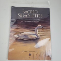 Praise & Worship Piano Songbook Sacred Silhouettes VG Cond