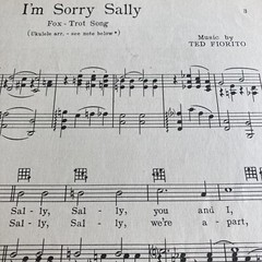 I&rsquo;m Sorry Sally ~ Fox-Trot Ballad ~ Gus Kahn ~ Ted Fiorito ~ 1928 Sheet Music