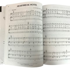 Birth Of Rock & Roll Guitar Piano Vocal Sheet Music Book Paperback 1991
