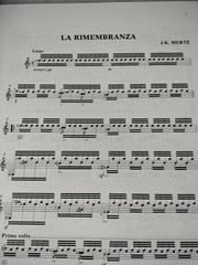 Johann Kasper Mertz Unpublished Classical Guitar Solos Sheet Music
