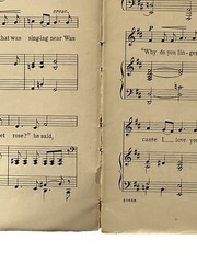 1908 Sheet Music Book MODERN SONG FAVORITES Household Series No. 41 Low Voice