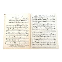 What Can I Say After I Say Im Sorry Sheet Music 1926 Bee Palmer Shimmy Queen