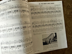 Twelve String Guitar Styles by Holtman Erb from Mel Bay 1967 NEW
