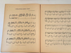 3 Antique Pieces of Sheet Music 1901-1913 RAG; Rag, March, Waltz; & BLUES