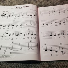 Greatest Waltzes E-Z Play Today 115 Songbook P/V/G Hal Leonard 1983