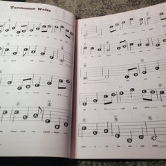 Greatest Waltzes E-Z Play Today 115 Songbook P/V/G Hal Leonard 1983