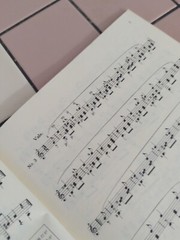 Antonio Cano 35 Etudes Rare Classical Guitar Rare Book,Zen On Publication Jap